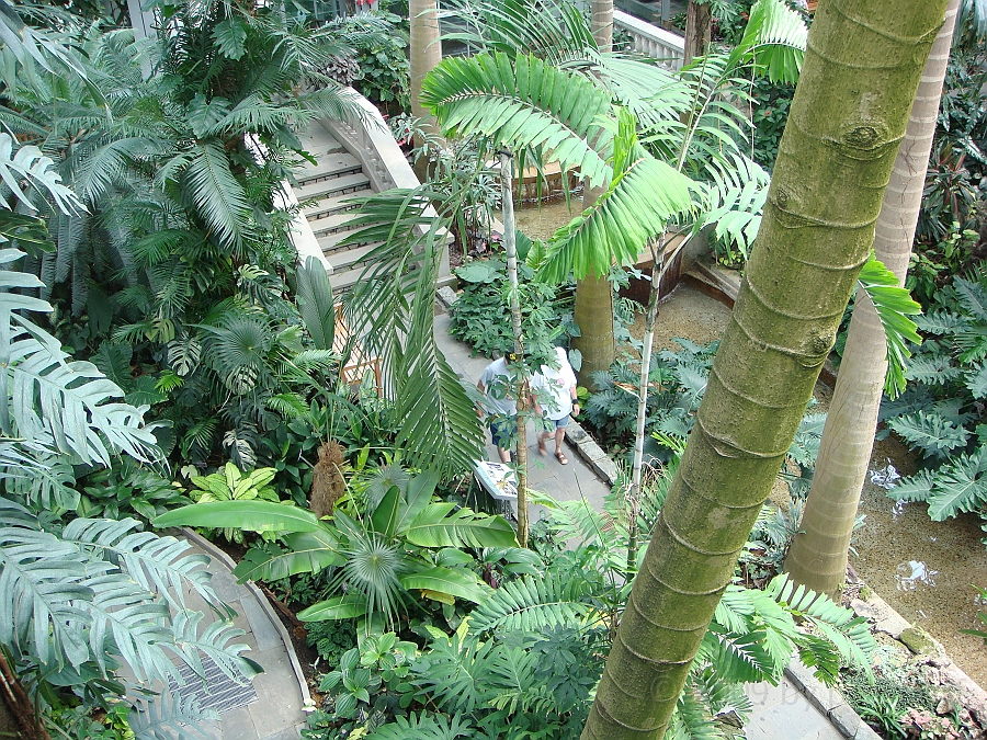 Washington DC [2009 July 04] 189.JPG - Scenes from The United States Botanic Garden